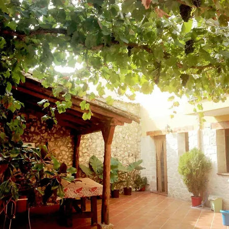 Experiencia "La Alquimia de la Lavanda"
