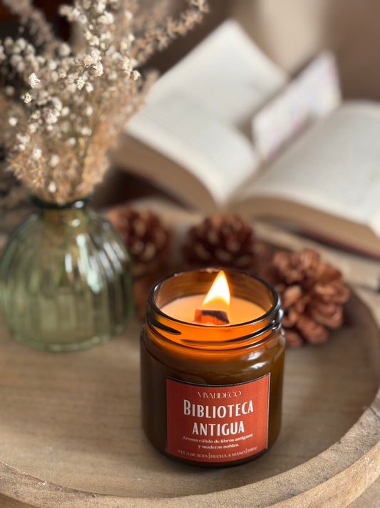 Biblioteca Antigua – Colección de otoño